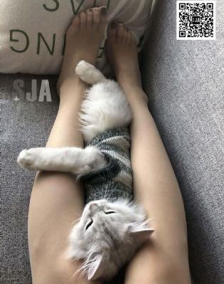 回复术士的重启人生2季免费观看