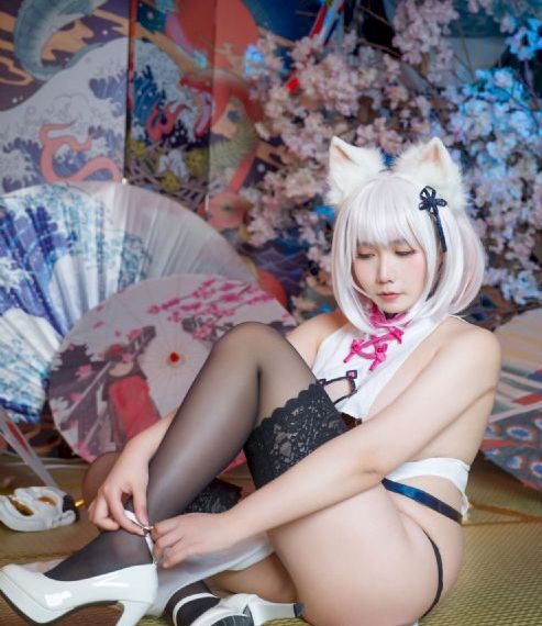 康熙微服私访记 电视剧