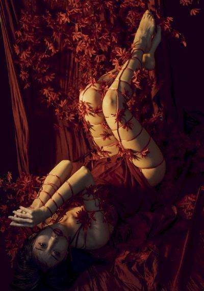 加勒比女海盗免费