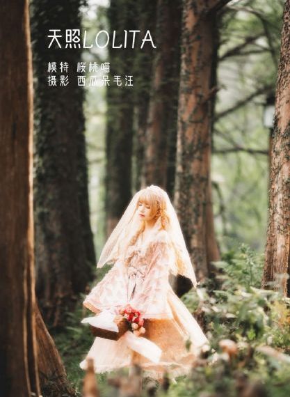 光与影的传说 动画