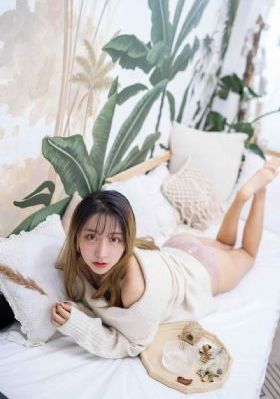 天狼星行动电视剧